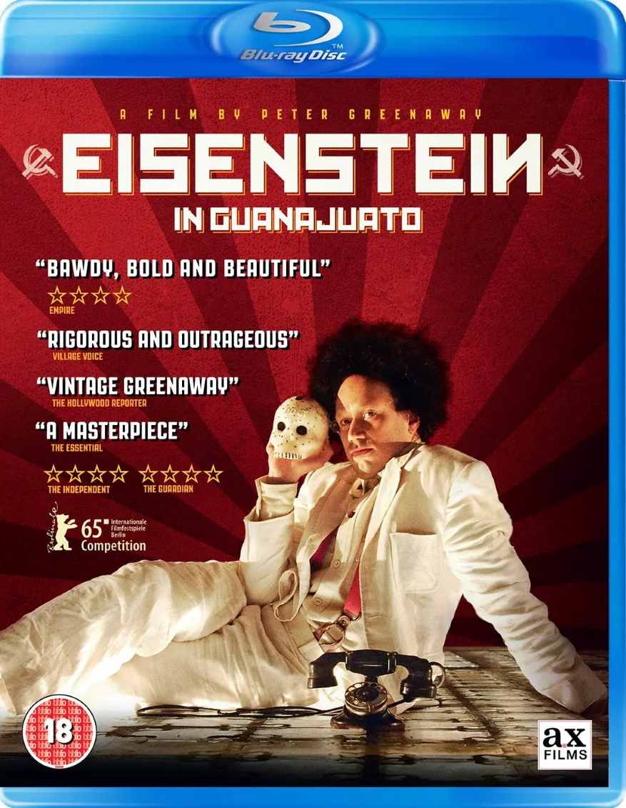 爱森斯坦在瓜纳华托