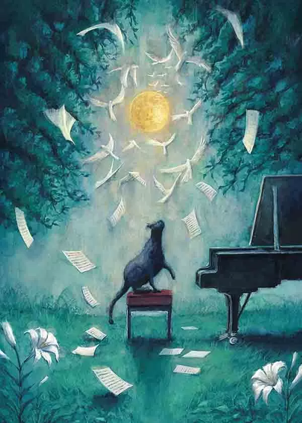 夜鹿 2024演唱会