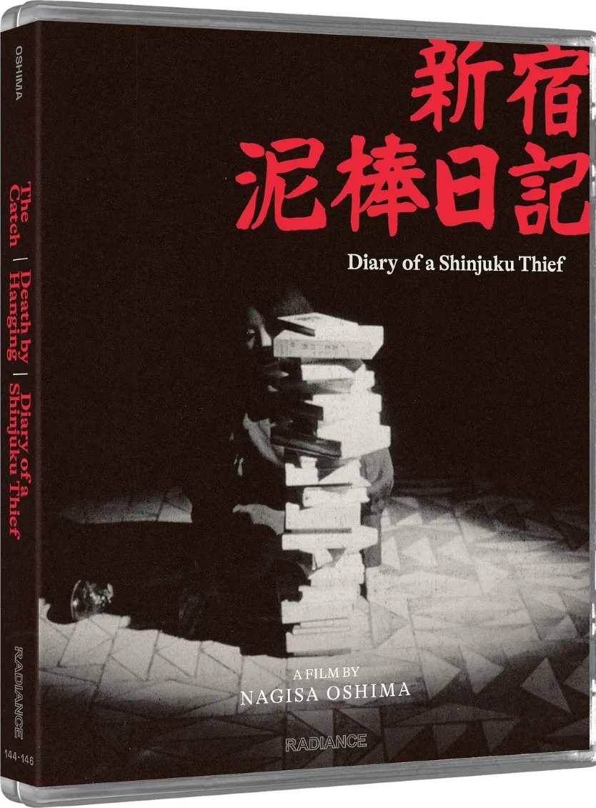 新宿小偷日记